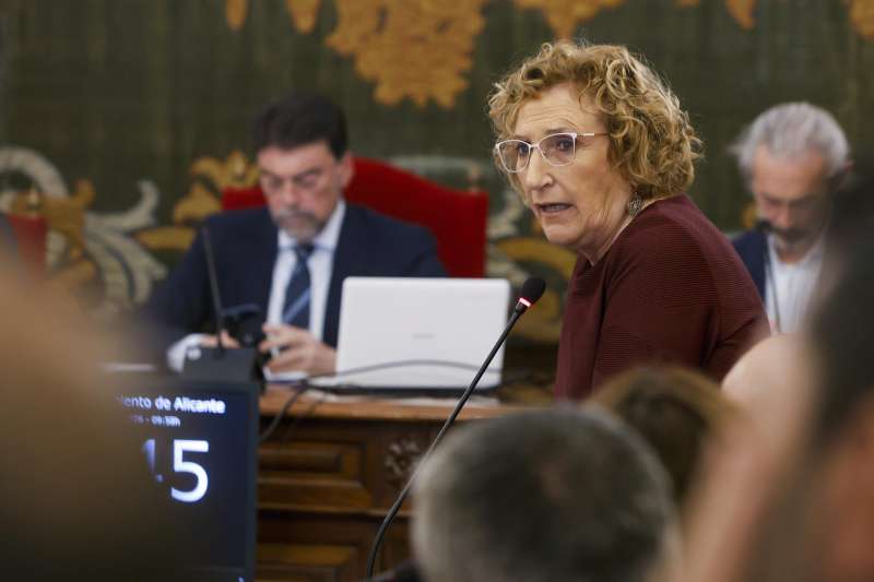 La portavoz del PSPV-PSOE en el Ayuntamiento de Alicante, Ana Barcel�. EFEMorell
