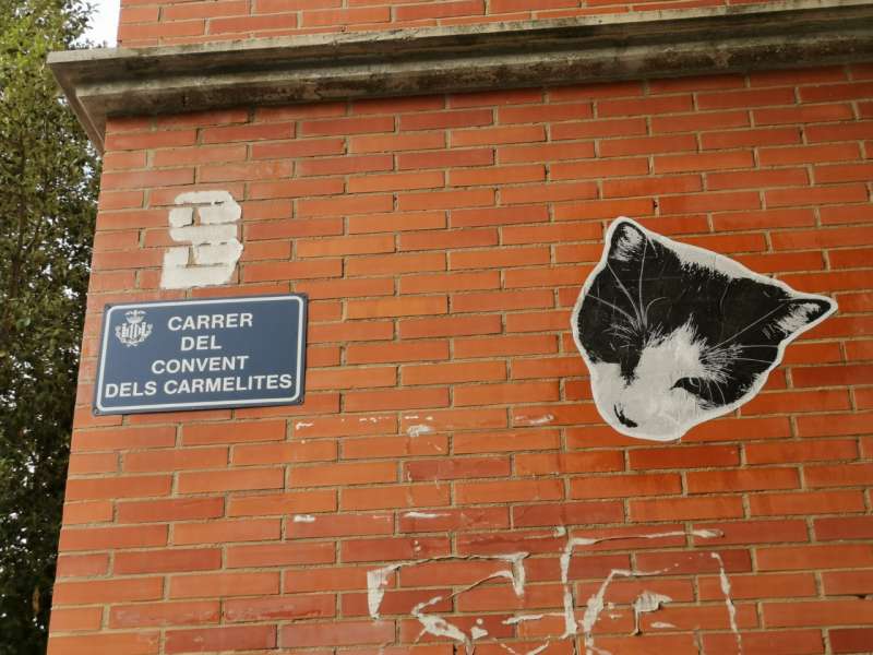 Una calle para el gato. B. BUENO