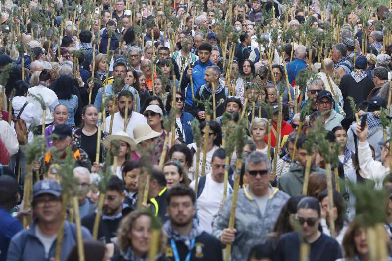 Decenas de miles de alicantinos recorren a pie la distancia que separa la concatedral de San Nicol�s y el monasterio de Santa Faz en la segunda romer�a m�s multitudinaria de Espa�a. EFEMorell
