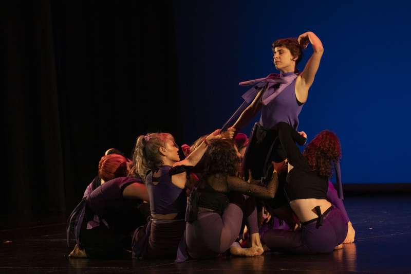 Espectacle Imaginat. EPDA