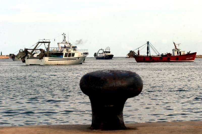 Imagen de archivo del puerto de Denia. /EFE /MORELL