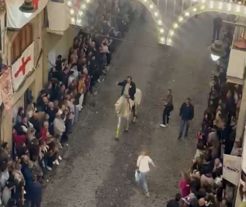 Captura del momento. /EPDA