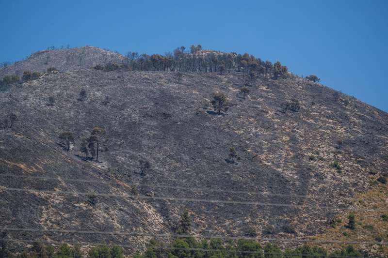Vista de los daos producidos por el incendio forestal declarado en el paraje San Pascual de Ibi (Alicante). EFE  Pablo Miranzo
