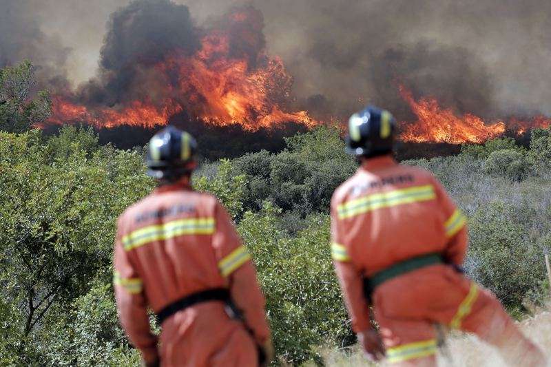 Foto de los bomberos en un incendio forestal. /EPDA