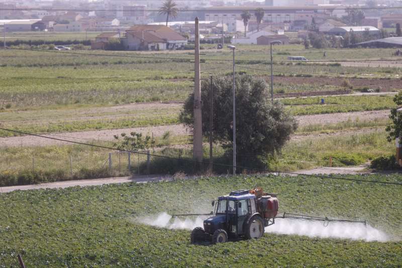 Un agricultor fumiga con su tractor un campo de hortalizas en el Ã¡rea metropolitana de valencia. EFE/ Kai Forsterling/Archivo
