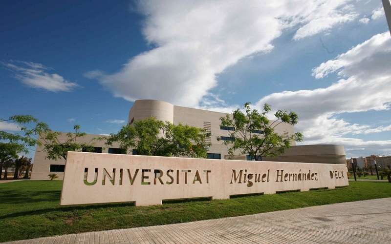Imagen de archivo de la Universidad Miguel Hernández (UMH)