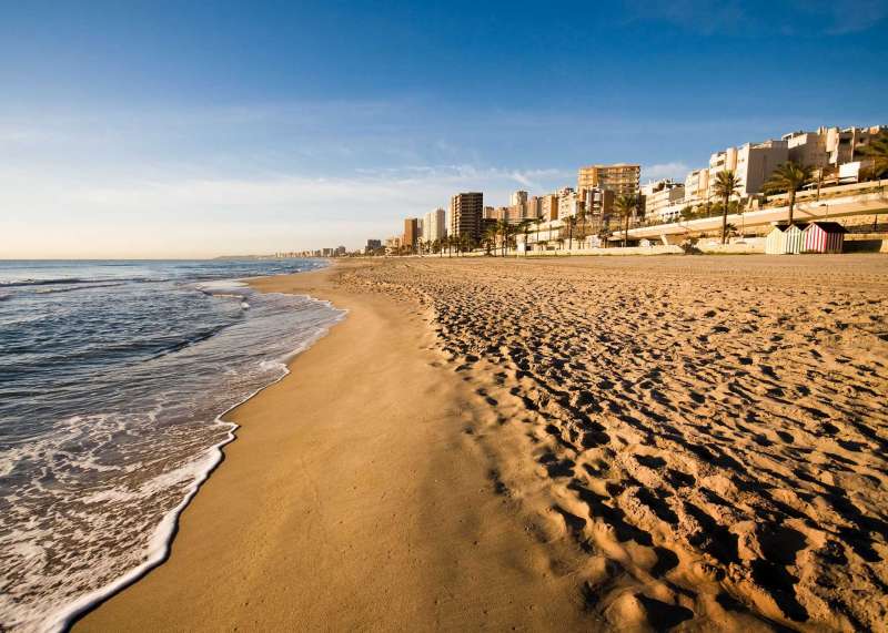 Playa Muchavista de El Campello.  EPDA 