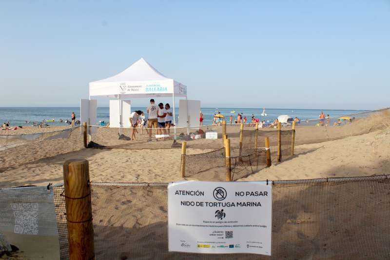 Campamento tortuga en la playa de Albaranes de Dénia. /EPDA