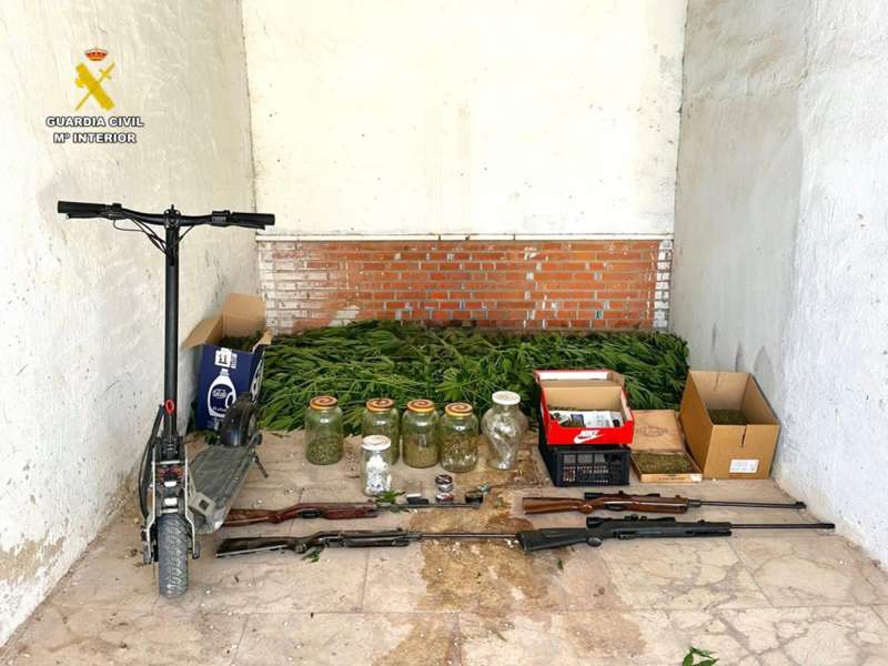 Efectos intervenidos al desmantelar un cultivo de marihuana en una vivienda de Pinoso, con una pareja detenida. EFEGuardia Civil
