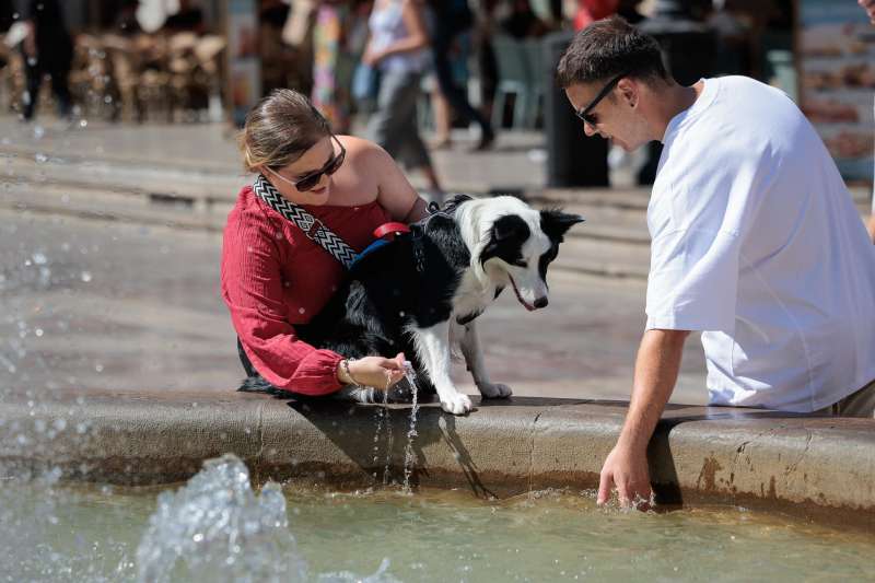 Dos personas refrescan a un perro en una fuente. EFEBiel AlioArchivo
