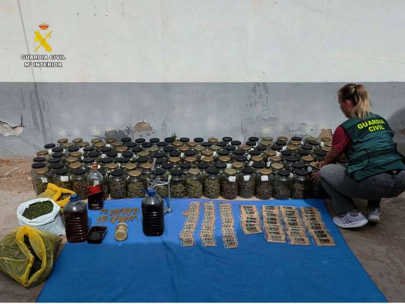 Imagen de la marihuana incautada. EFEGuardia Civil
