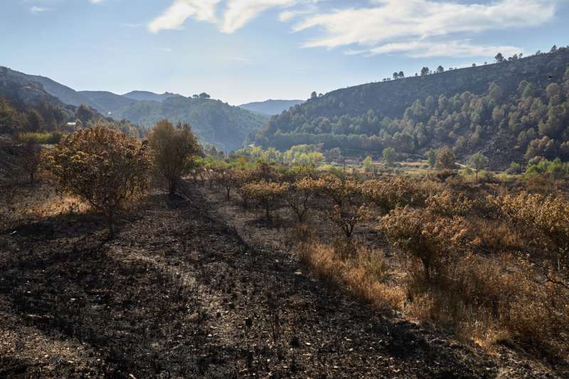 Vista del incendio forestal de la Vall d