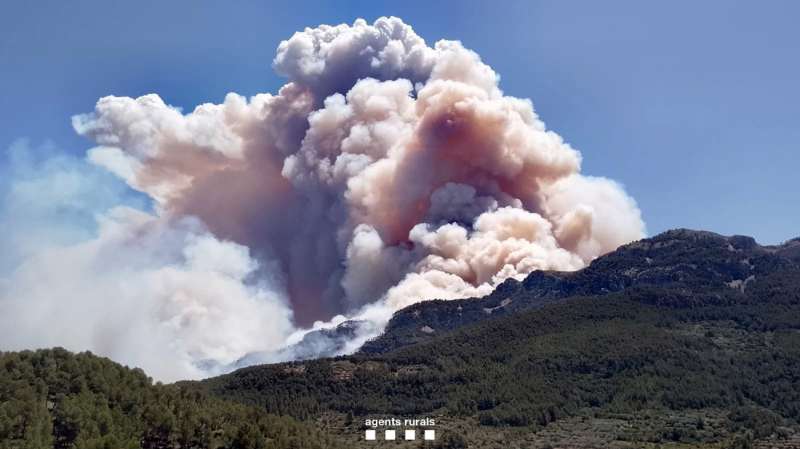 El incendio forestal de Pals (Tarragona). EFEAgents Rurals