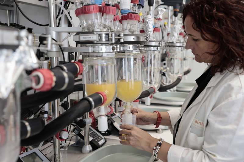 Blanca Viadel en el laboratorio / EPDA